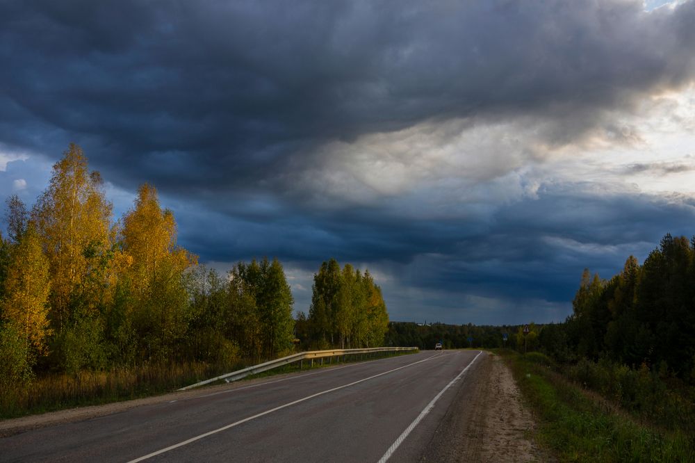 Под синим пологом