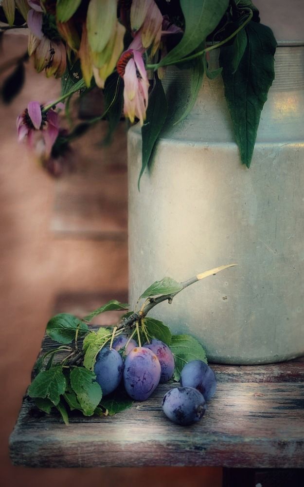 Дачные истории