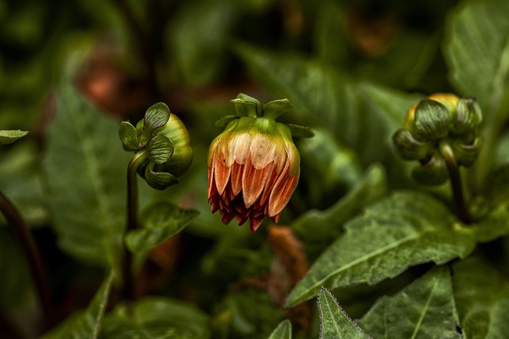 Photograph by Николай Тышкунов