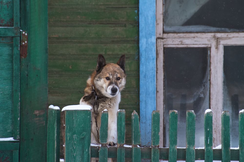 Photograph by Алёна Гильмуллина