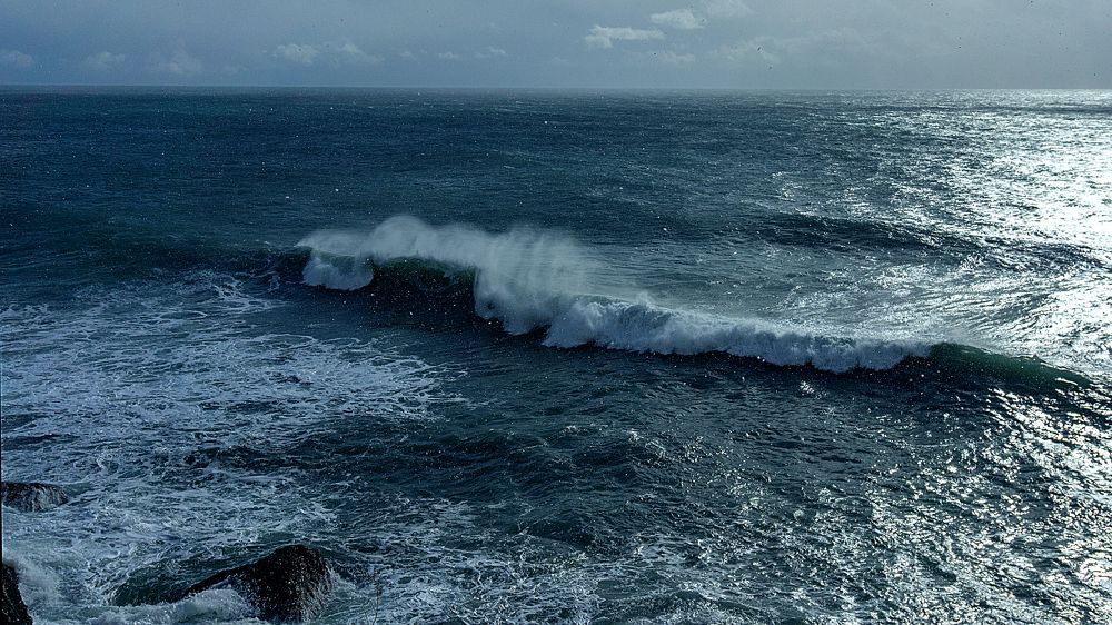 Photograph by Виталий Павлов