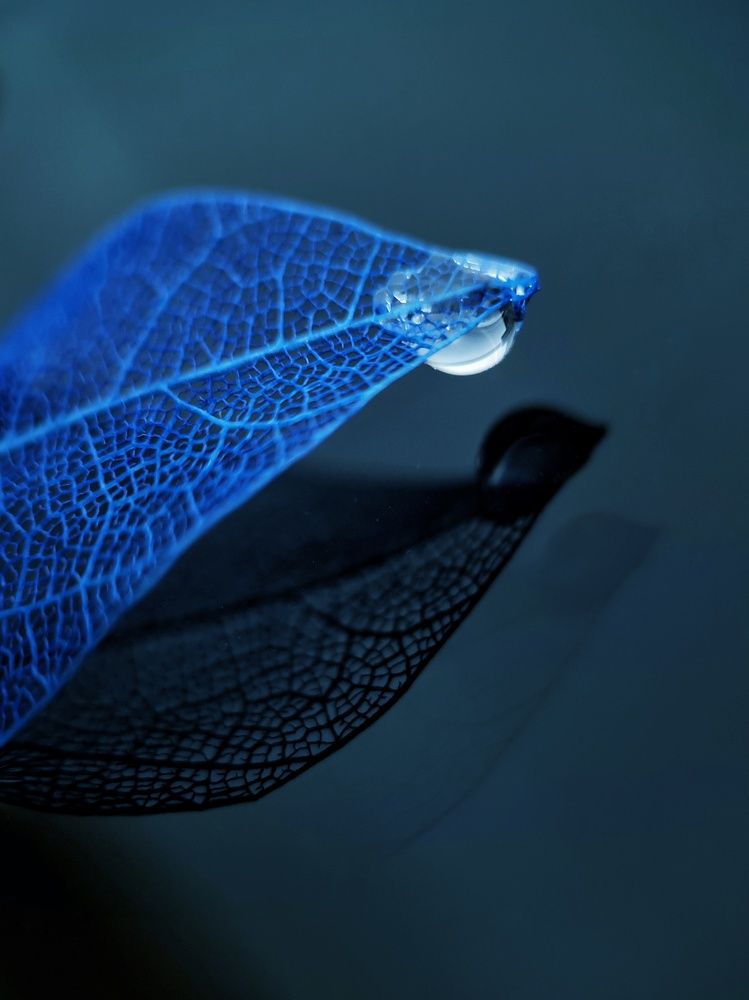 Photograph by Светлана Смирнова