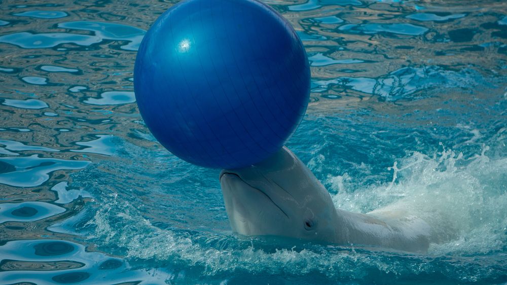 Photograph by Виталий Павлов