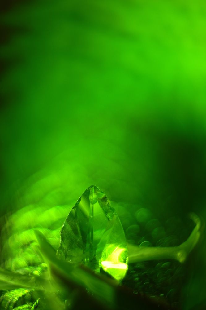 Photograph by Milla Luca