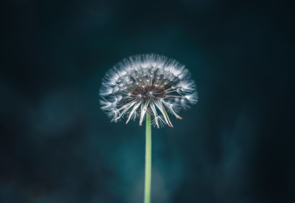 Photograph by Ольга Остапенко