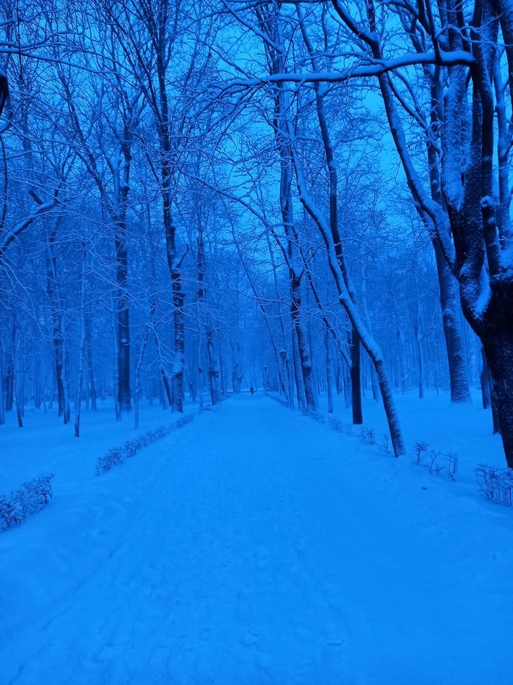 Photograph by Ольга