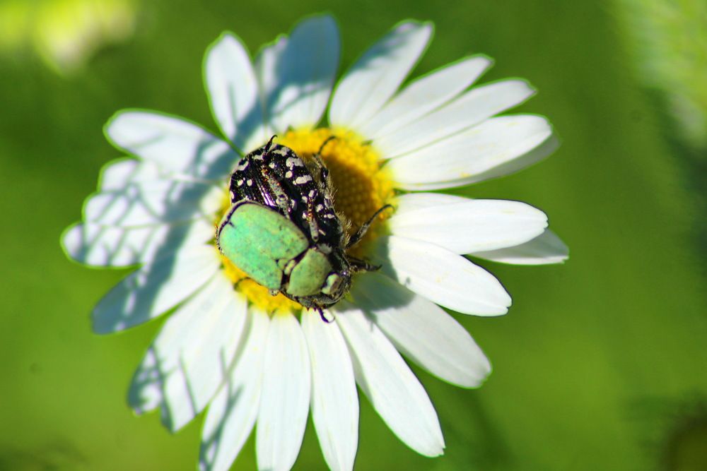 Photograph by Николай Николаевич Леухин