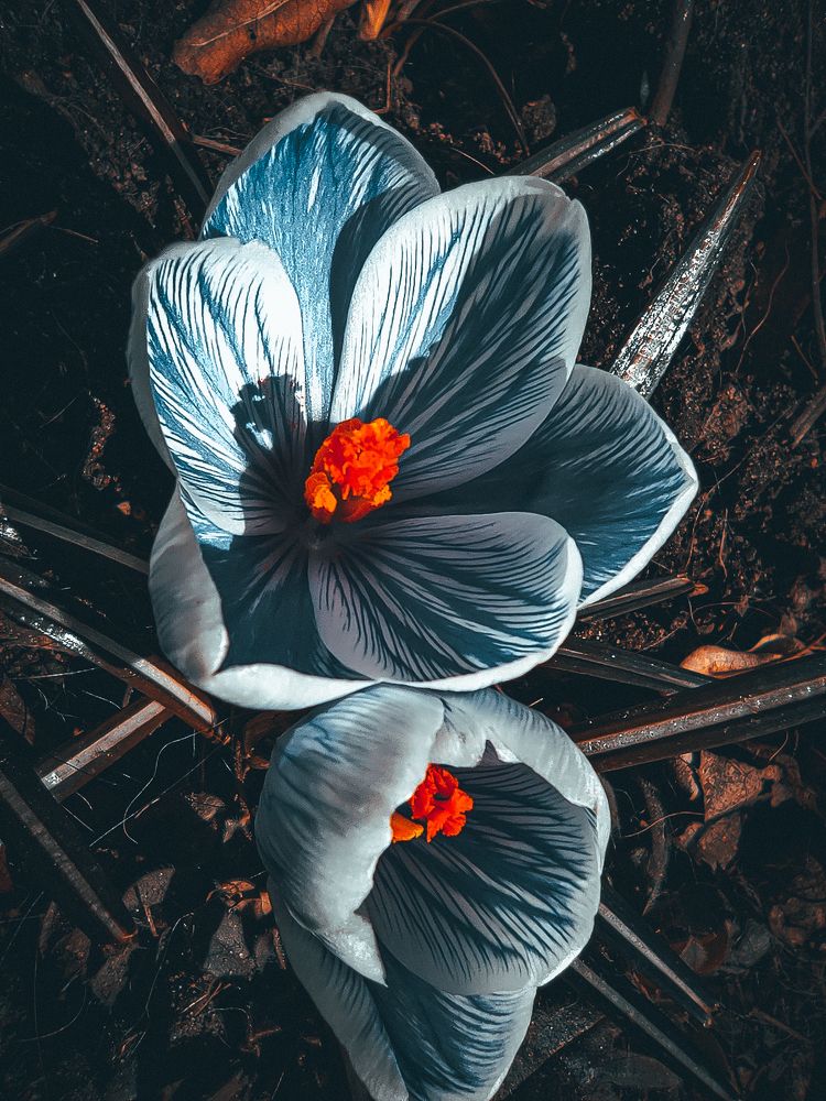 Photograph by Кристина Полякова