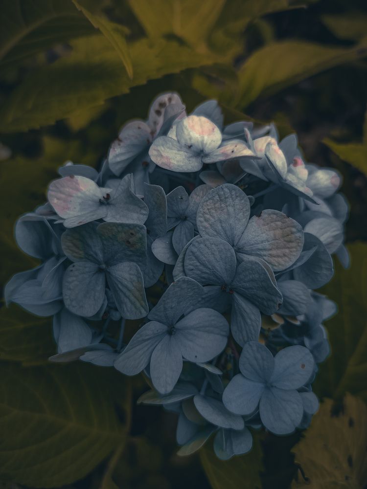 Photograph by Кристина Полякова