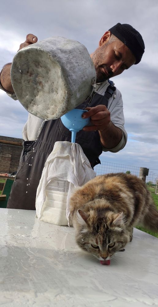 Photograph by Эдуард Саитгалеев