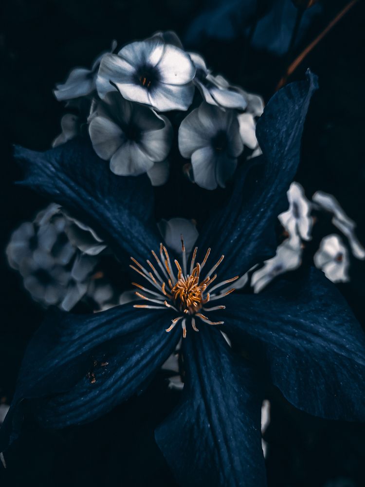 Photograph by Кристина Полякова