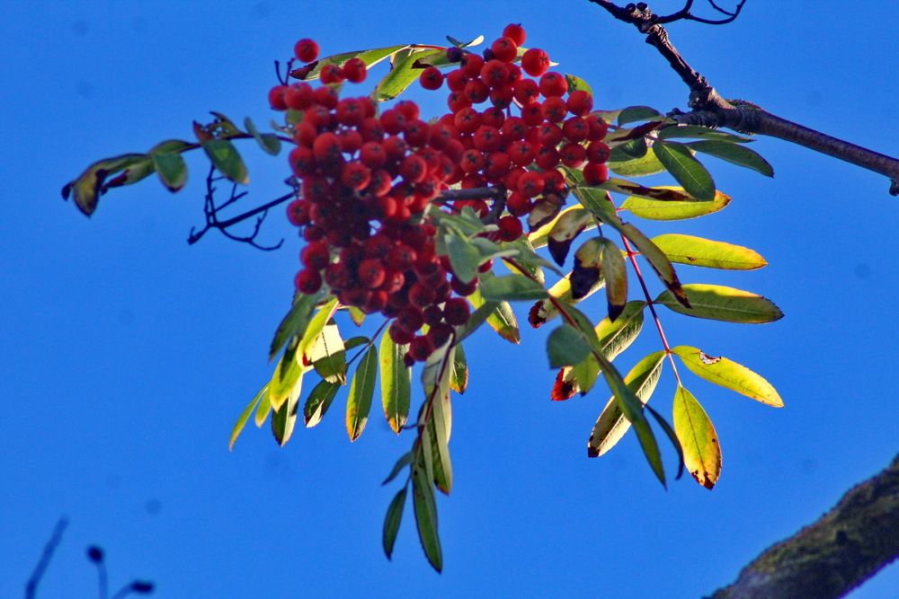 Photograph by Николай Николаевич Леухин