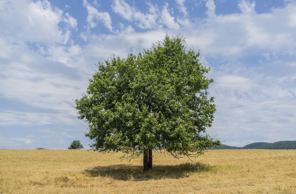 Photograph by Rustam Huseynov