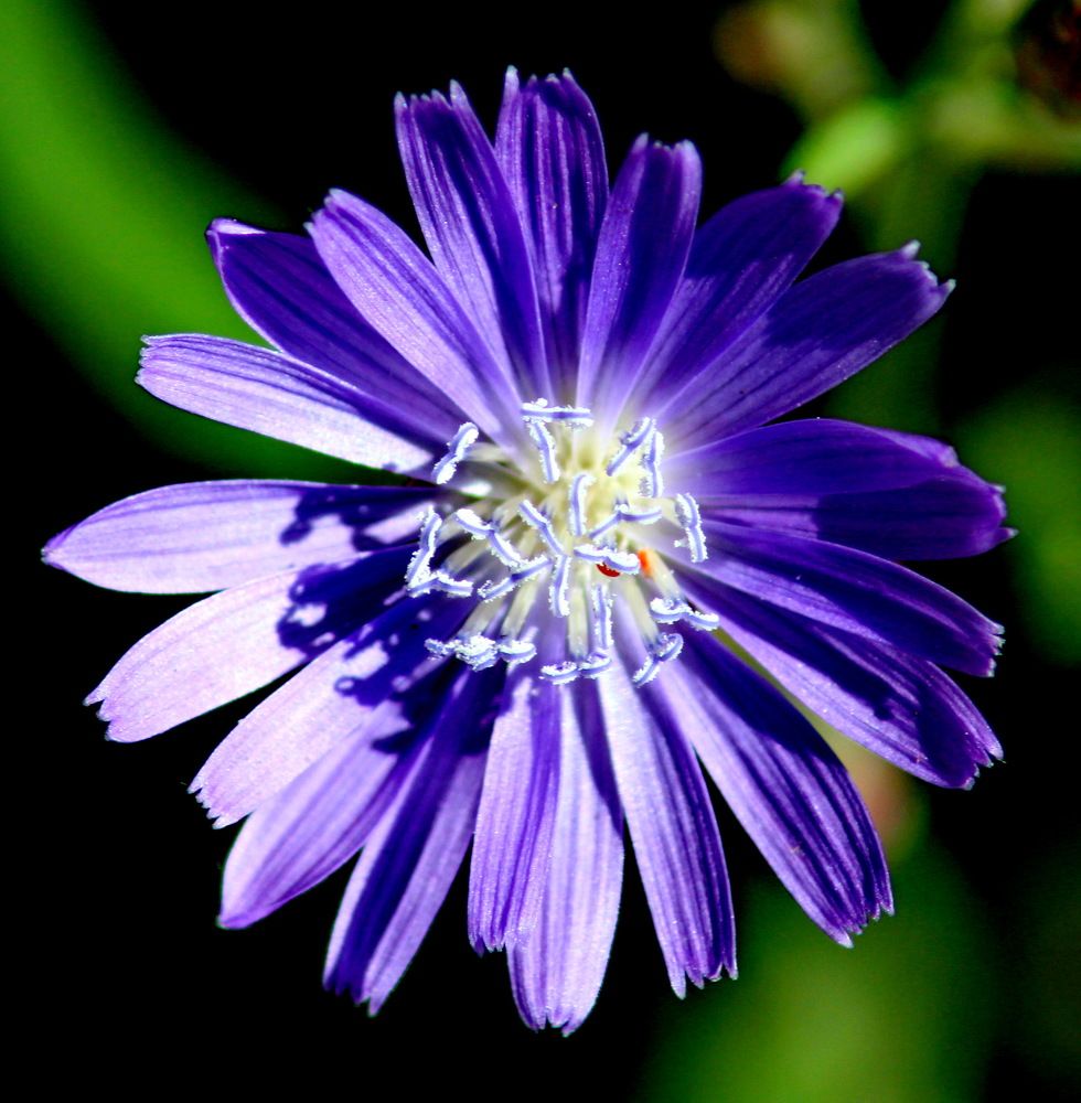 Photograph by Николай Николаевич Леухин