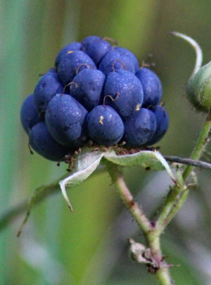 Photograph by Николай Николаевич Леухин