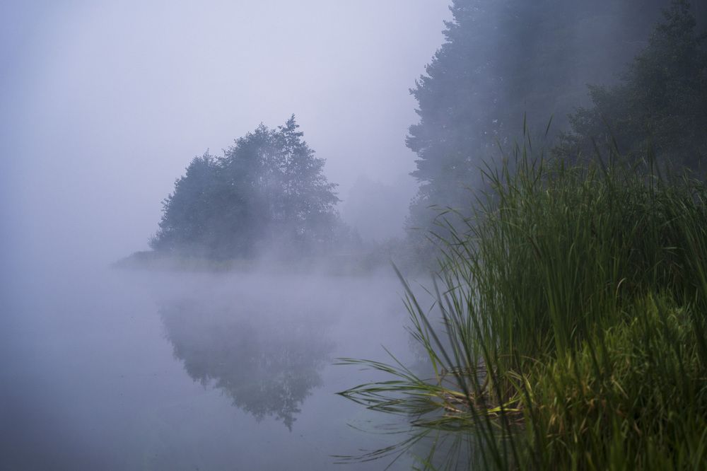 Photograph by косяк