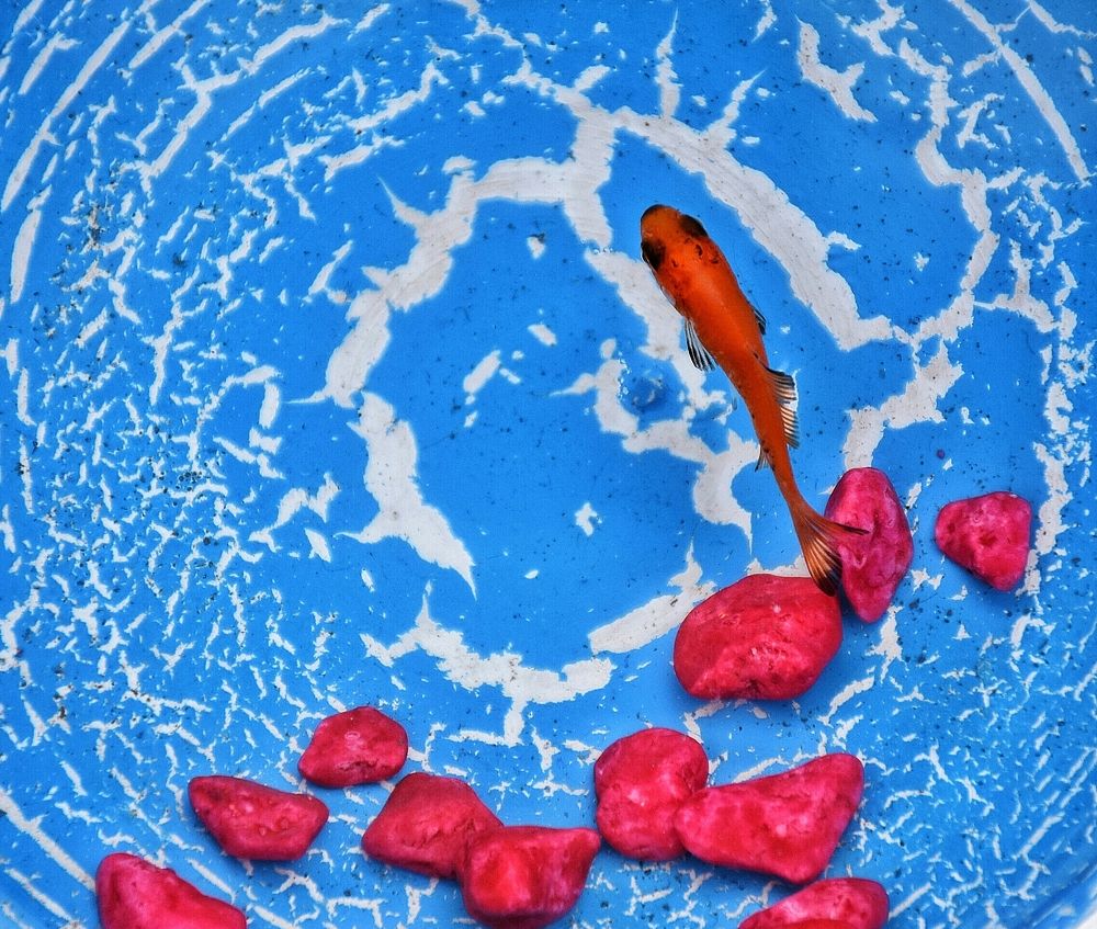 Photograph by seyyed mohammad andy