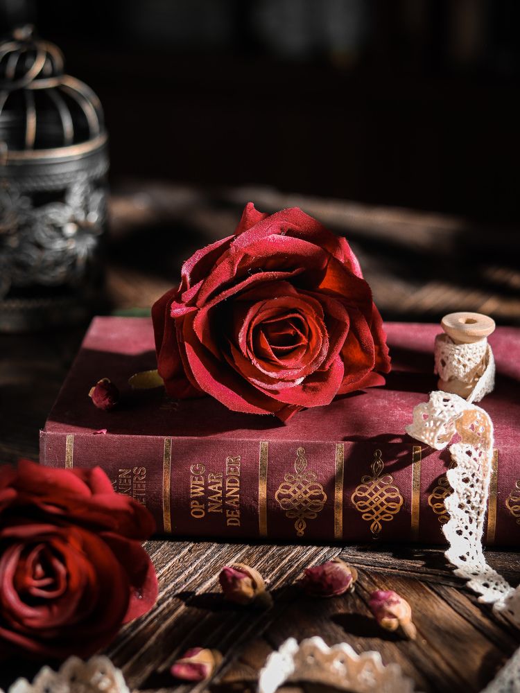 Photograph by Dhita Karina