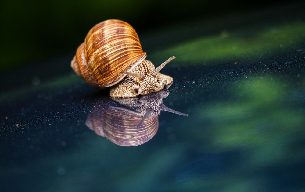 Photograph by Владимир Безбородов