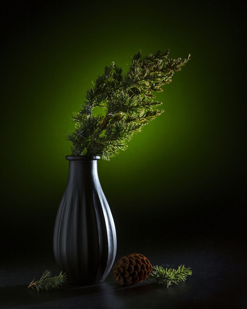 Photograph by Ирина Толокновская