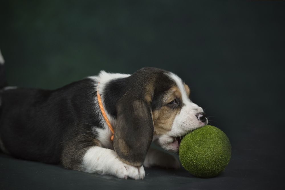 Photograph by Дарья Лисицына