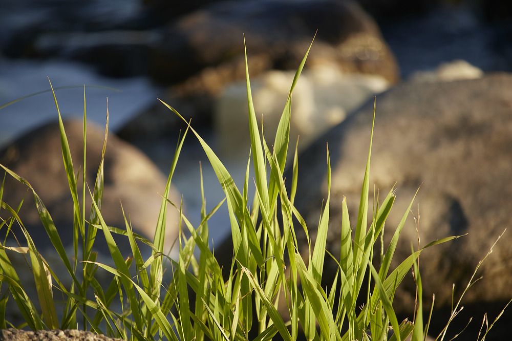 Photograph by Татьяна Полянская