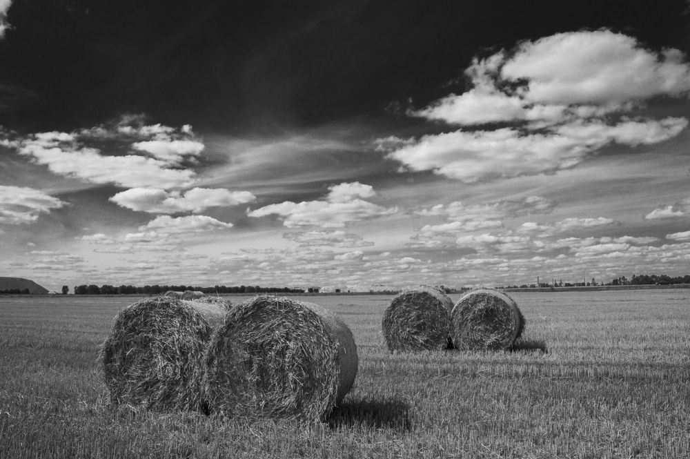 Август в Беларуси - 5 ч.б