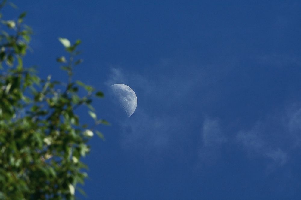 Photograph by Александр Перегудов