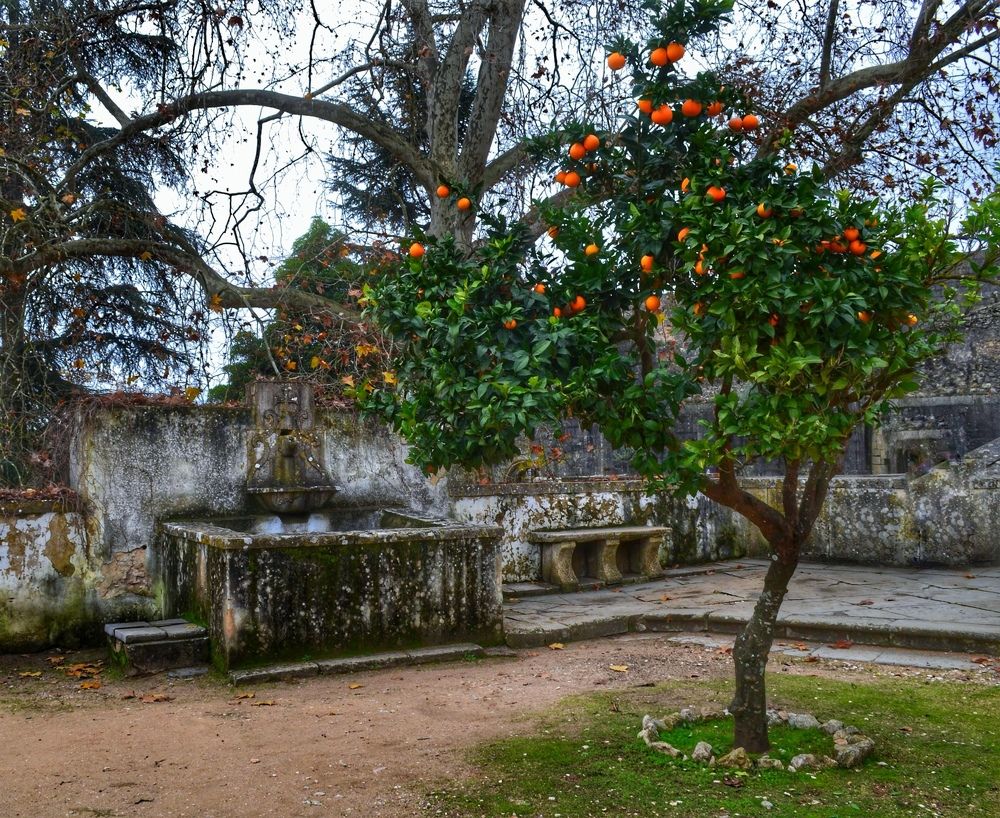 Фотография автора Дина Фурсова