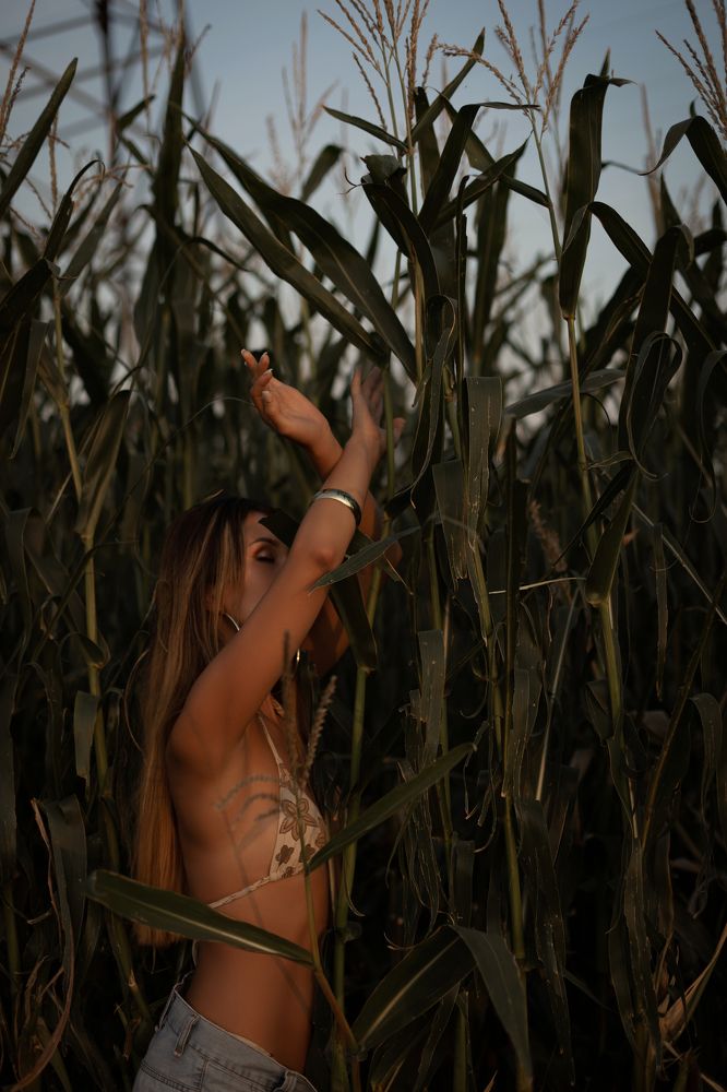 the girl in the corn