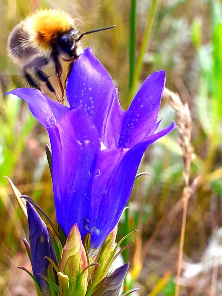 Photograph by Ирина Пичугина