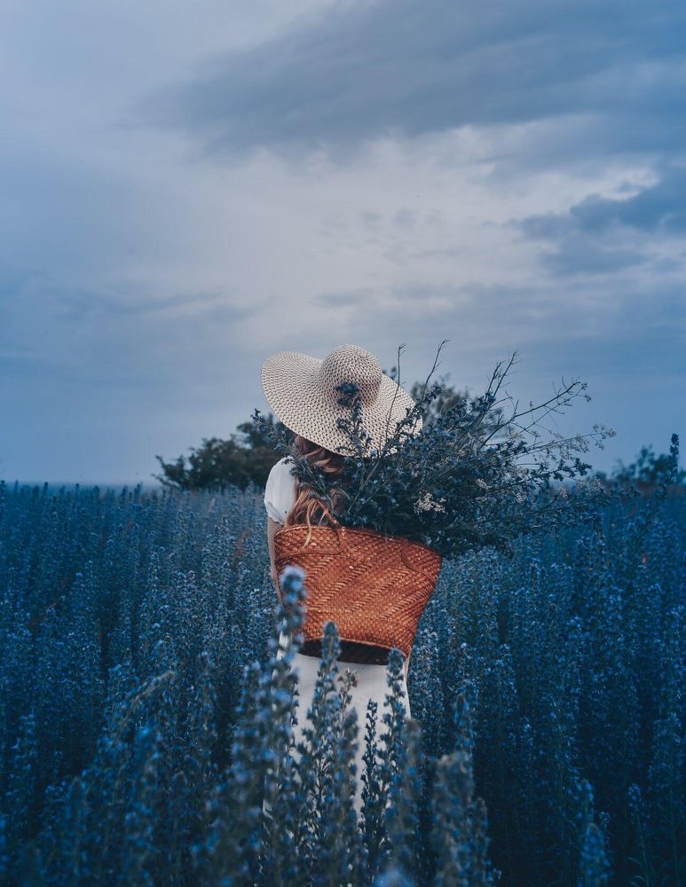 Photograph by 