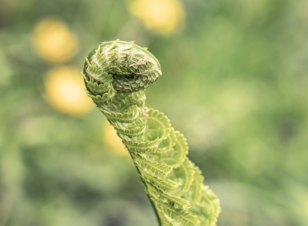 Photograph by Лариса Рулёва