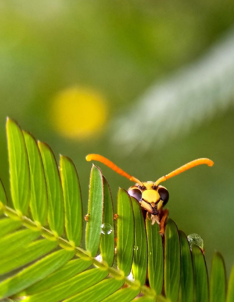 Photograph by Ciraj Abraham