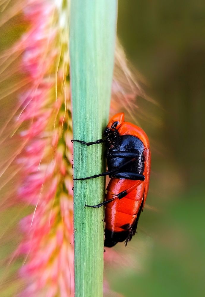 Photograph by Ciraj Abraham