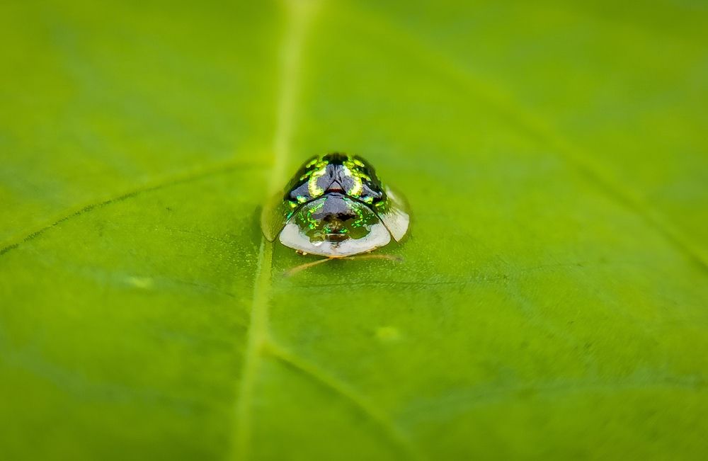 Photograph by Ciraj Abraham