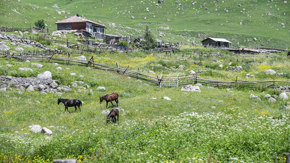 Photograph by Сергей Савчук