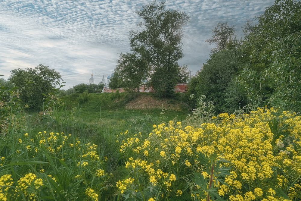 Photograph by Людмила ЧЕРНИКОВА