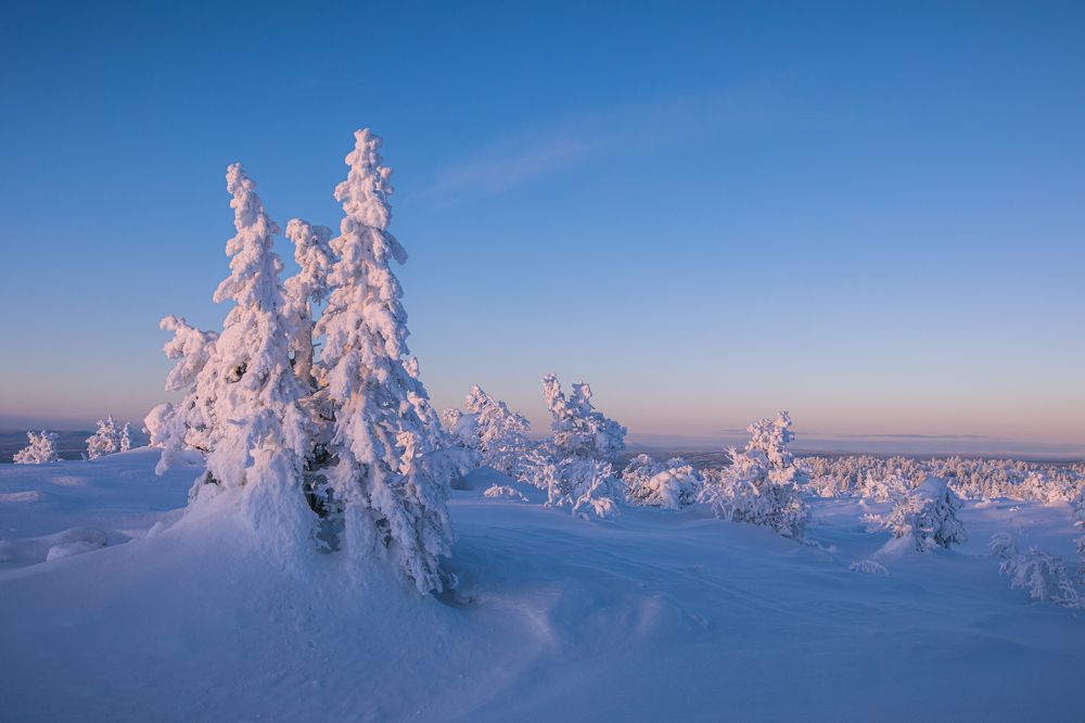 Зима на Кольском