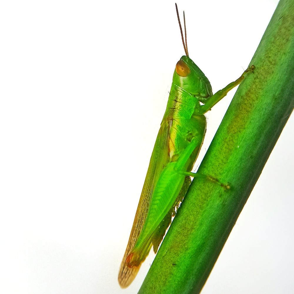 Photograph by Ciraj Abraham