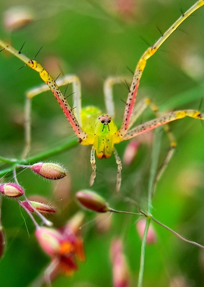 Photograph by Ciraj Abraham