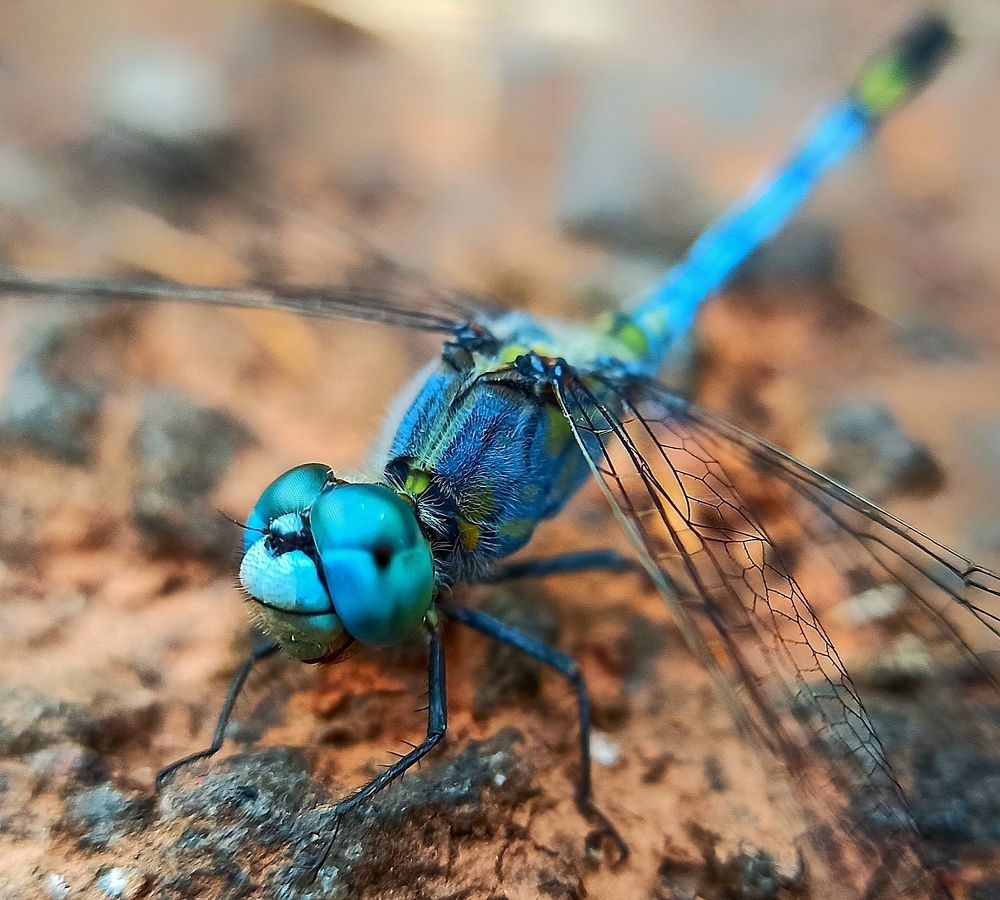 Photograph by Ciraj Abraham