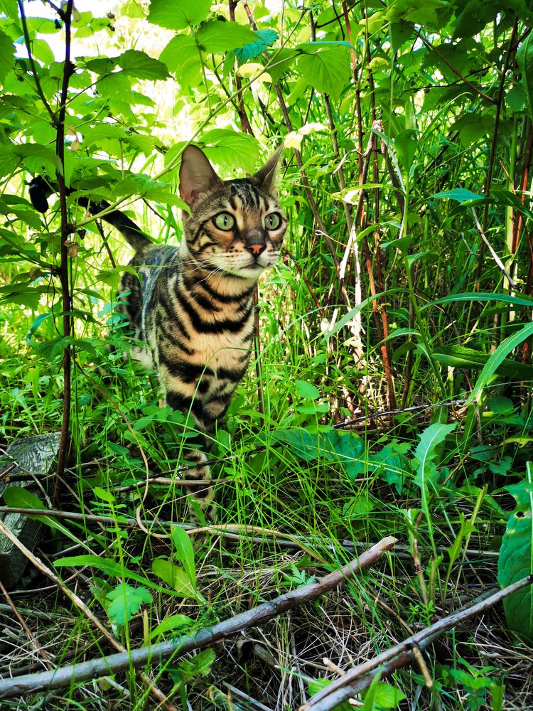 Фотография автора Наталья