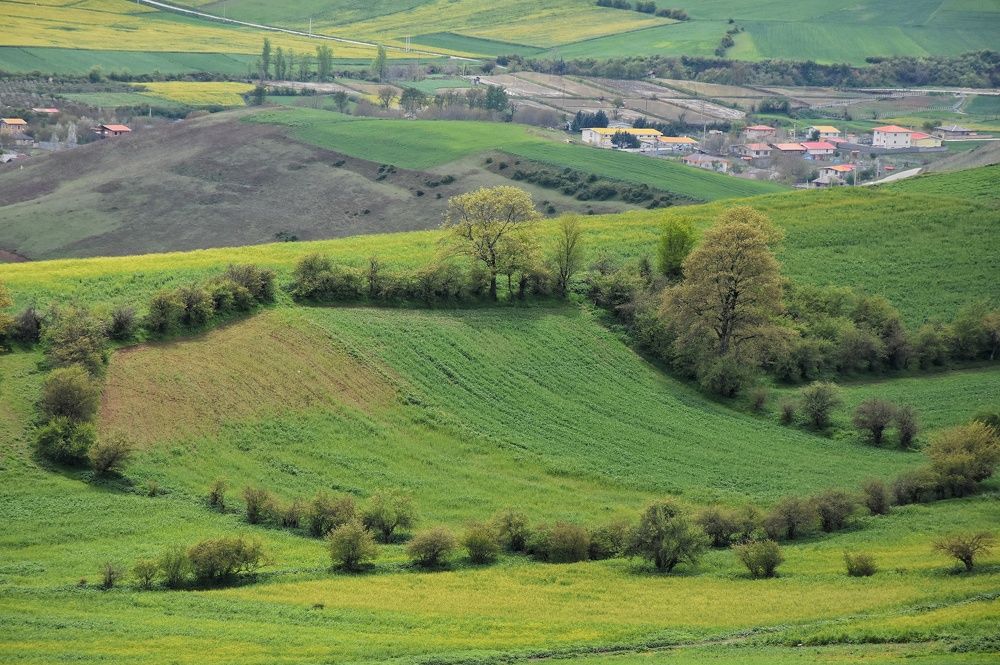 Photograph by seyyed mohammad andy