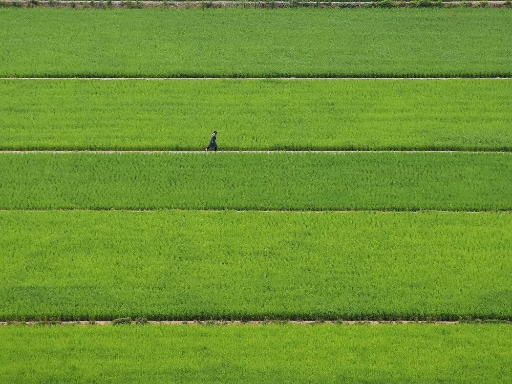 Photograph by seyyed mohammad andy