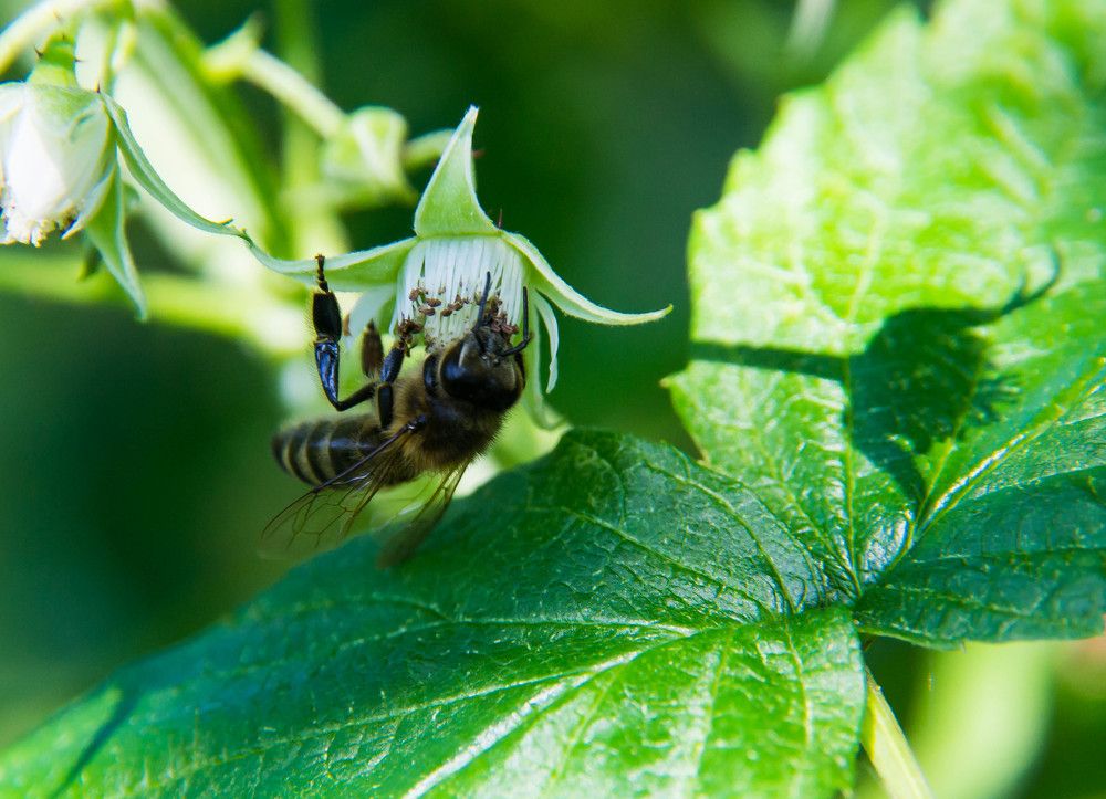 Фотография автора Юлия Кранина
