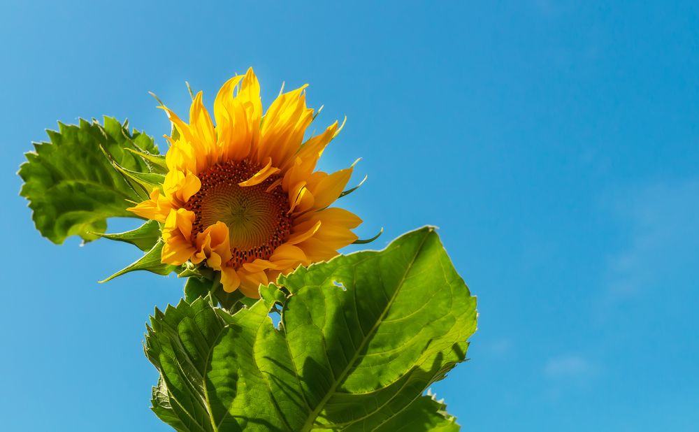 Photograph by Наталья Микулич