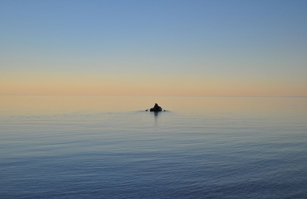 Photograph by Юрий Яковлев