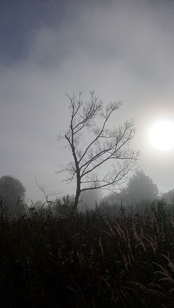 Photo #8022498