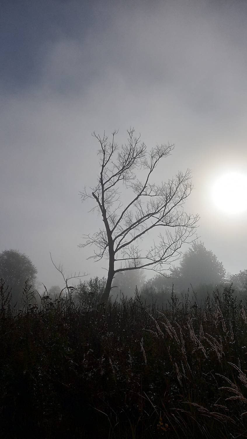 Photo #8022498